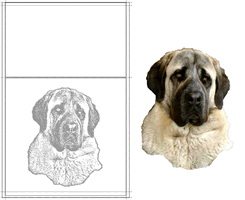 Beispiel Fotogravur Hund